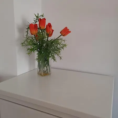 Appartamento Apartamento Playa De Xilxes. Moncófar